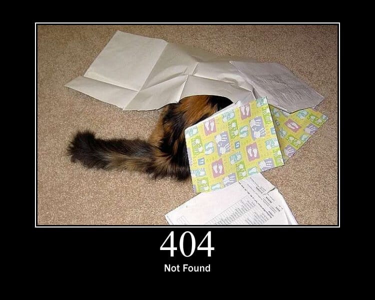 404 Placeholder
